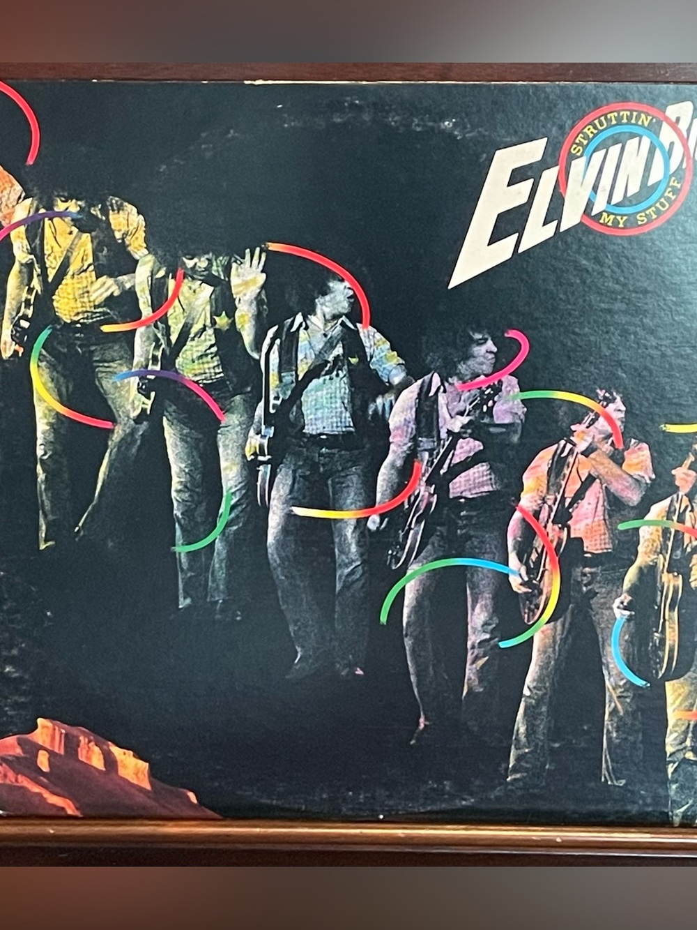 Elvin Bishop "Struttin' My Stuff" vintage vinyl (1975)